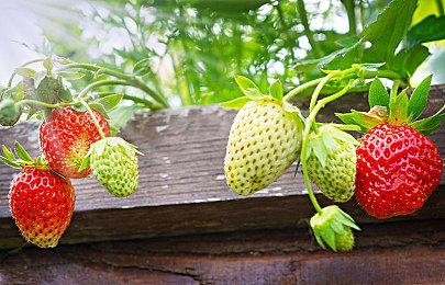 《异度神剑3》男女主混浴场景曝光 送给粉丝的福利